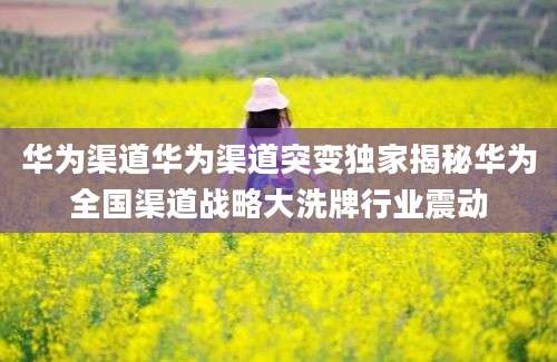 华为渠道华为渠道突变独家揭秘华为全国渠道战略大洗牌行业震动