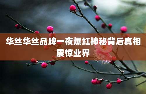 华丝华丝品牌一夜爆红神秘背后真相震惊业界