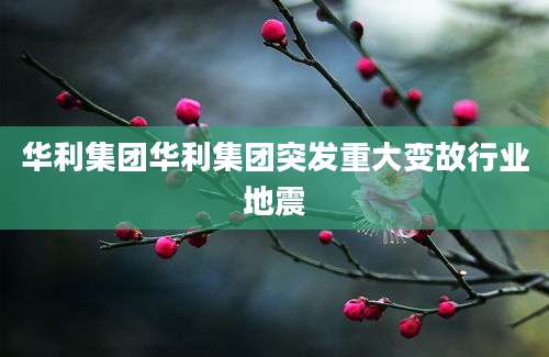 华利集团华利集团突发重大变故行业地震