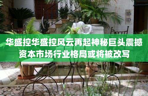 华盛控华盛控风云再起神秘巨头震撼资本市场行业格局或将被改写