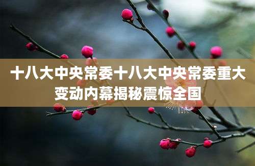 十八大中央常委十八大中央常委重大变动内幕揭秘震惊全国