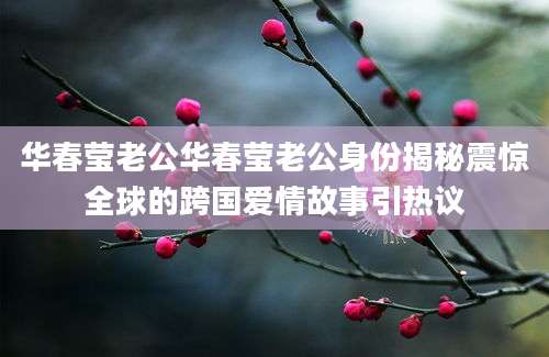 华春莹老公华春莹老公身份揭秘震惊全球的跨国爱情故事引热议