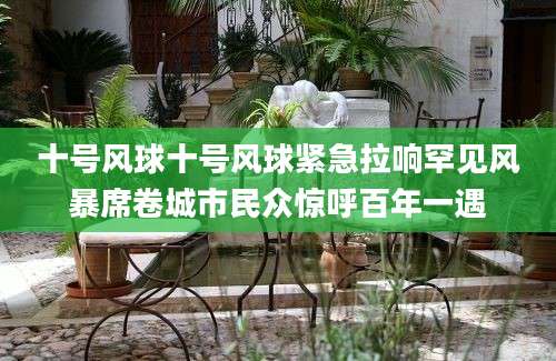 十号风球十号风球紧急拉响罕见风暴席卷城市民众惊呼百年一遇