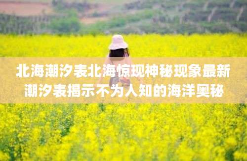北海潮汐表北海惊现神秘现象最新潮汐表揭示不为人知的海洋奥秘