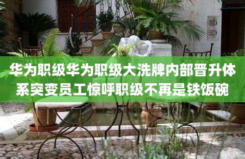 华为职级华为职级大洗牌内部晋升体系突变员工惊呼职级不再是铁饭碗