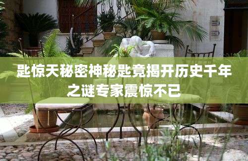 匙惊天秘密神秘匙竟揭开历史千年之谜专家震惊不已