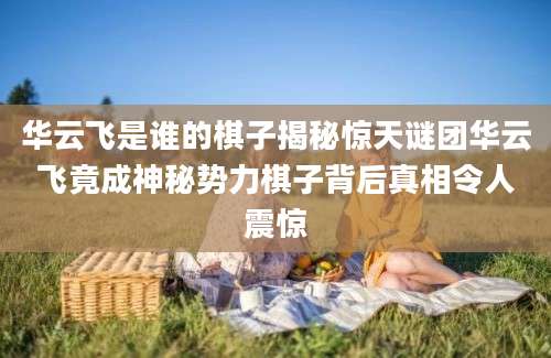 华云飞是谁的棋子揭秘惊天谜团华云飞竟成神秘势力棋子背后真相令人震惊