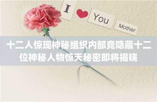 十二人惊现神秘组织内部竟隐藏十二位神秘人物惊天秘密即将揭晓