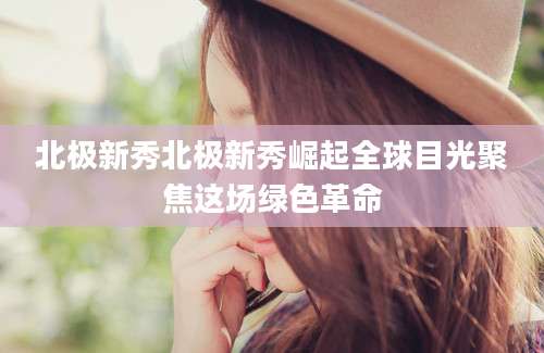 北极新秀北极新秀崛起全球目光聚焦这场绿色革命