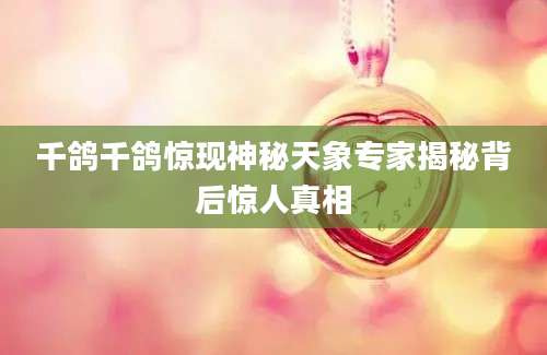 千鸽千鸽惊现神秘天象专家揭秘背后惊人真相