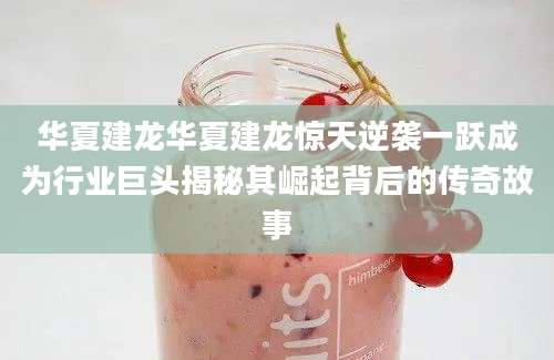 华夏建龙华夏建龙惊天逆袭一跃成为行业巨头揭秘其崛起背后的传奇故事