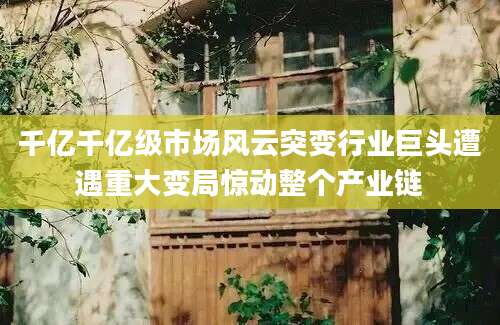 千亿千亿级市场风云突变行业巨头遭遇重大变局惊动整个产业链
