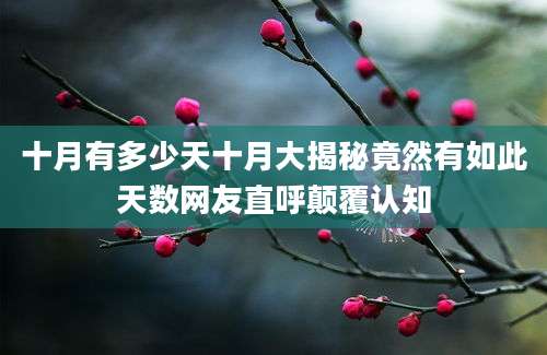 十月有多少天十月大揭秘竟然有如此天数网友直呼颠覆认知