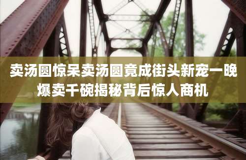 卖汤圆惊呆卖汤圆竟成街头新宠一晚爆卖千碗揭秘背后惊人商机