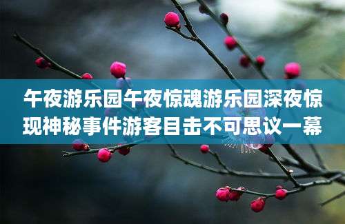 午夜游乐园午夜惊魂游乐园深夜惊现神秘事件游客目击不可思议一幕