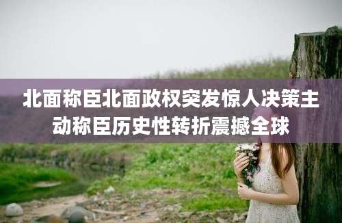 北面称臣北面政权突发惊人决策主动称臣历史性转折震撼全球