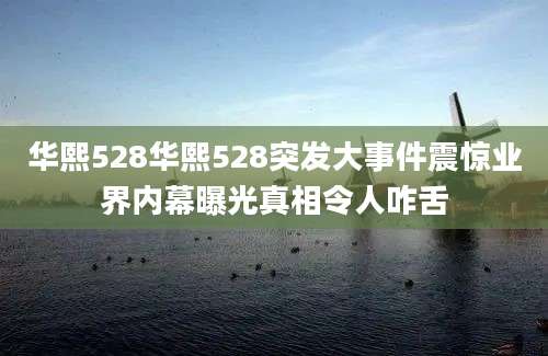 华熙528华熙528突发大事件震惊业界内幕曝光真相令人咋舌