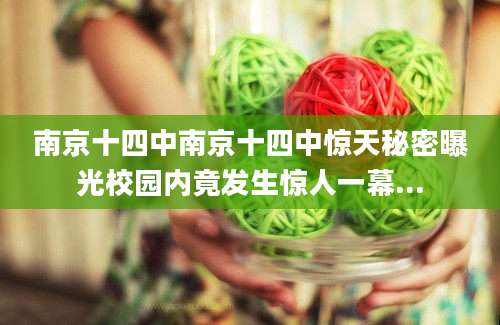 南京十四中南京十四中惊天秘密曝光校园内竟发生惊人一幕...