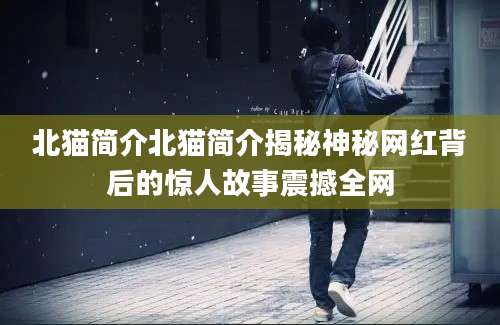 北猫简介北猫简介揭秘神秘网红背后的惊人故事震撼全网