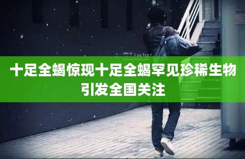 十足全蝎惊现十足全蝎罕见珍稀生物引发全国关注