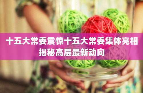 十五大常委震惊十五大常委集体亮相揭秘高层最新动向