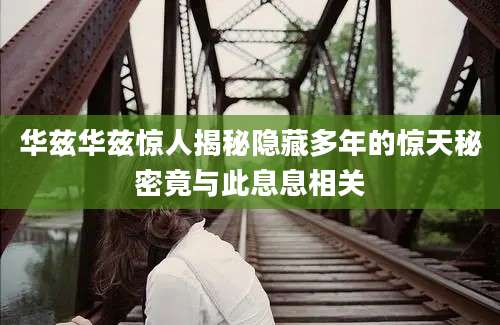 华兹华兹惊人揭秘隐藏多年的惊天秘密竟与此息息相关