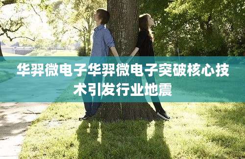 华羿微电子华羿微电子突破核心技术引发行业地震