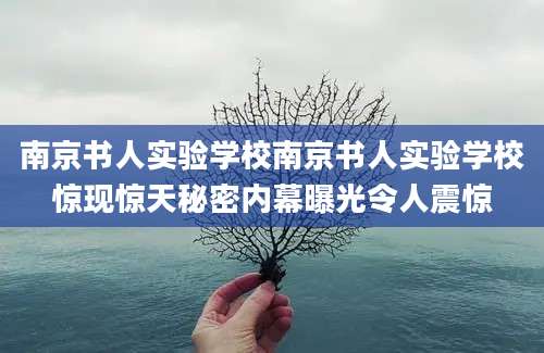 南京书人实验学校南京书人实验学校惊现惊天秘密内幕曝光令人震惊
