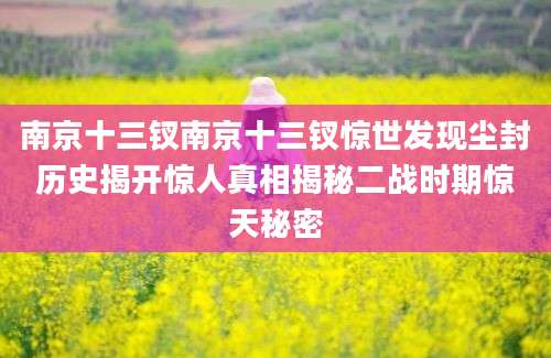 南京十三钗南京十三钗惊世发现尘封历史揭开惊人真相揭秘二战时期惊天秘密