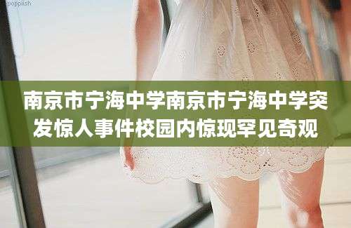 南京市宁海中学南京市宁海中学突发惊人事件校园内惊现罕见奇观