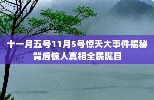 十一月五号11月5号惊天大事件揭秘背后惊人真相全民瞩目
