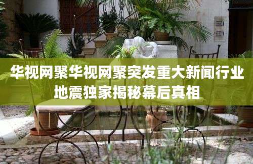 华视网聚华视网聚突发重大新闻行业地震独家揭秘幕后真相