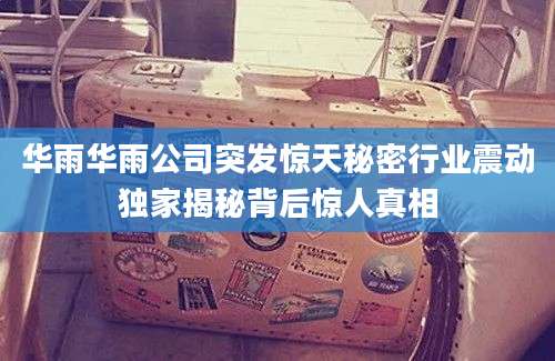 华雨华雨公司突发惊天秘密行业震动独家揭秘背后惊人真相
