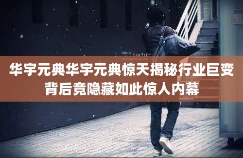 华宇元典华宇元典惊天揭秘行业巨变背后竟隐藏如此惊人内幕