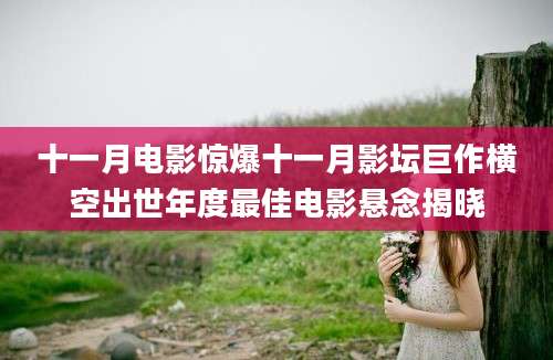 十一月电影惊爆十一月影坛巨作横空出世年度最佳电影悬念揭晓