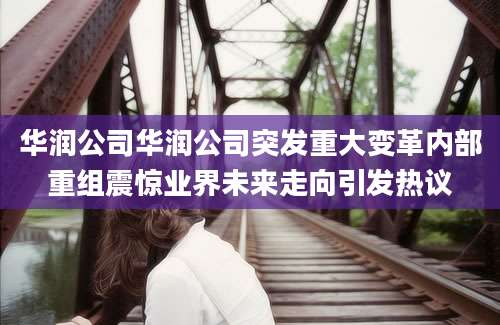 华润公司华润公司突发重大变革内部重组震惊业界未来走向引发热议