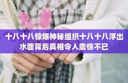 十八十八惊爆神秘组织十八十八浮出水面背后真相令人震惊不已