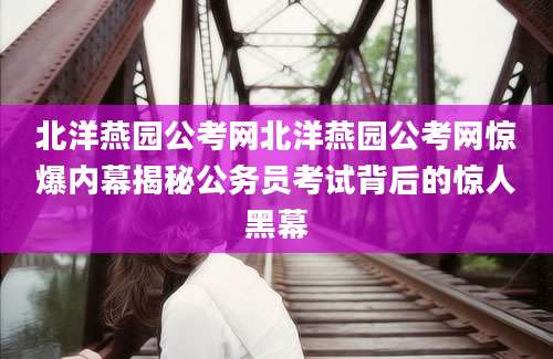 北洋燕园公考网北洋燕园公考网惊爆内幕揭秘公务员考试背后的惊人黑幕