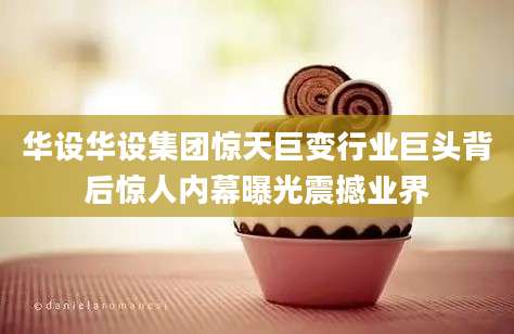 华设华设集团惊天巨变行业巨头背后惊人内幕曝光震撼业界