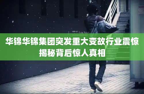华锦华锦集团突发重大变故行业震惊揭秘背后惊人真相