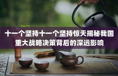 十一个坚持十一个坚持惊天揭秘我国重大战略决策背后的深远影响