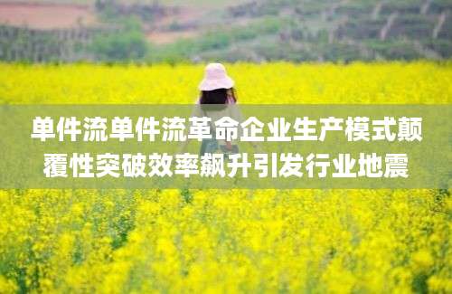 单件流单件流革命企业生产模式颠覆性突破效率飙升引发行业地震