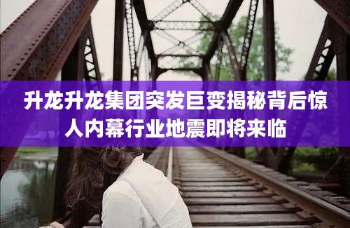 升龙升龙集团突发巨变揭秘背后惊人内幕行业地震即将来临