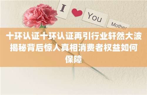 十环认证十环认证再引行业轩然大波揭秘背后惊人真相消费者权益如何保障