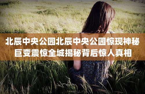 北辰中央公园北辰中央公园惊现神秘巨变震惊全城揭秘背后惊人真相