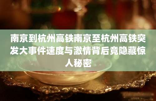 南京到杭州高铁南京至杭州高铁突发大事件速度与激情背后竟隐藏惊人秘密