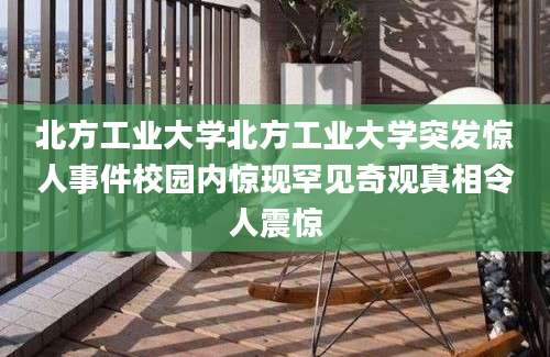 北方工业大学北方工业大学突发惊人事件校园内惊现罕见奇观真相令人震惊