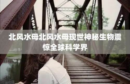 北风水母北风水母现世神秘生物震惊全球科学界