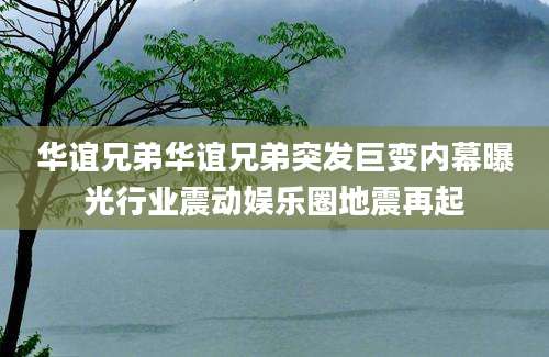 华谊兄弟华谊兄弟突发巨变内幕曝光行业震动娱乐圈地震再起