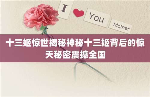 十三姬惊世揭秘神秘十三姬背后的惊天秘密震撼全国